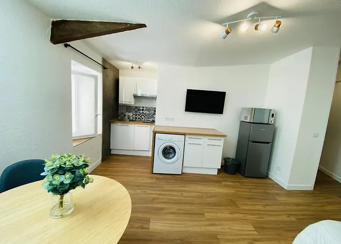 公寓 Les De Morgane Hyper Centre *