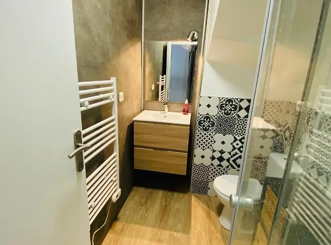 Les De Morgane Hyper Centre 公寓 瓦朗斯